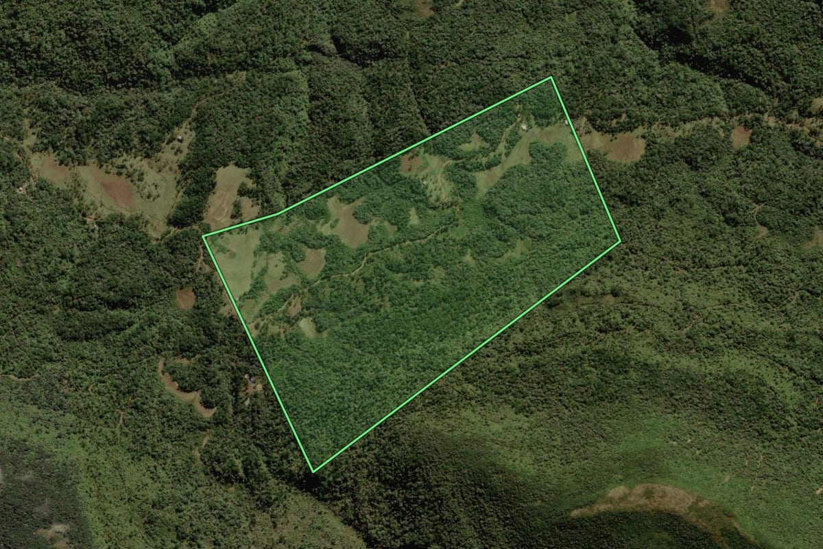 Imagem de satélite do imóvel rural em Rio Rufino (SC), com o contorno declarado no CAR desenhado por cima.