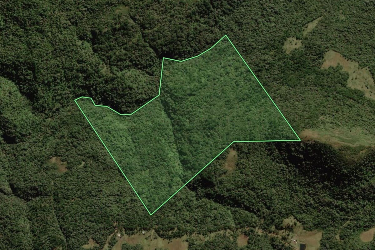 Imagem de satélite do imóvel rural em Rio Rufino (SC), com o contorno declarado no CAR desenhado por cima.