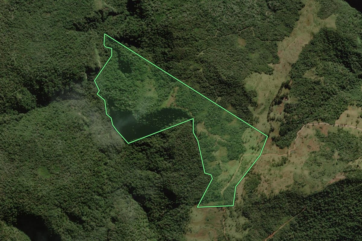 Imagem de satélite do imóvel rural em Rio Rufino (SC), com o contorno declarado no CAR desenhado por cima.