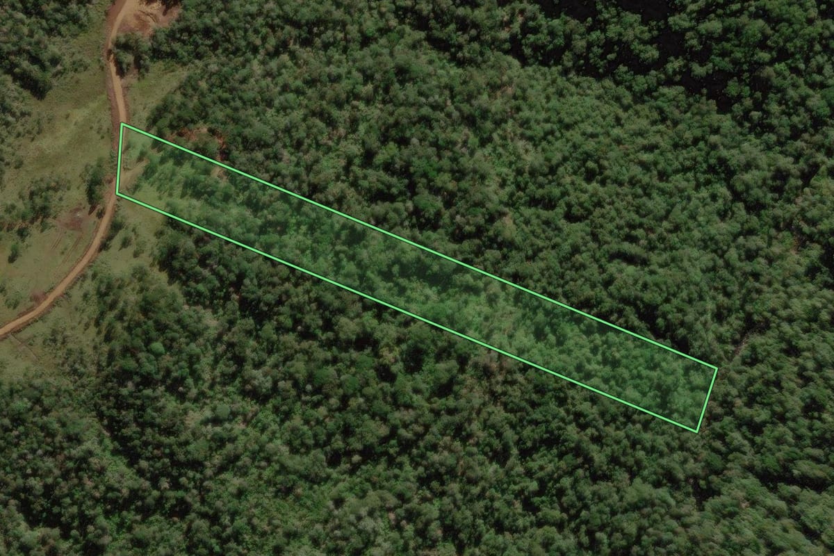 Imagem de satélite do imóvel rural em Rio Rufino (SC), com o contorno declarado no CAR desenhado por cima.