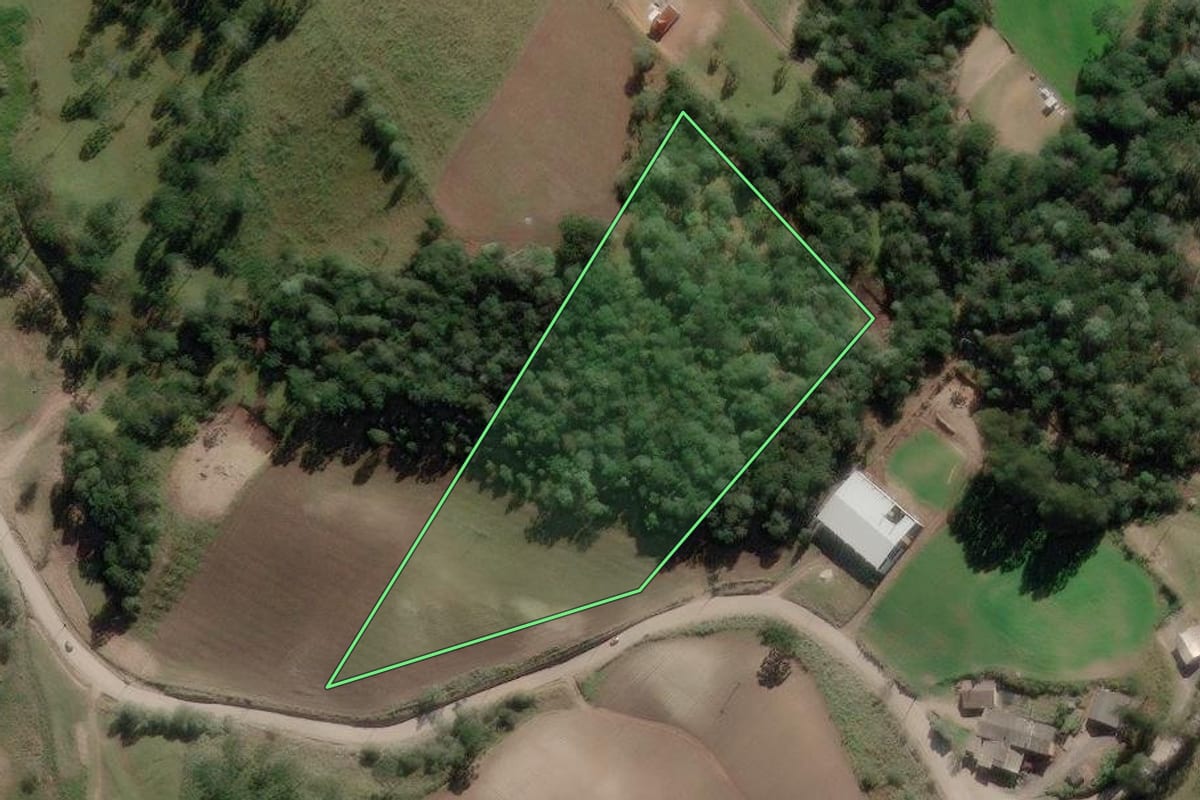 Imagem de satélite do imóvel rural em Rio Rufino (SC), com o contorno declarado no CAR desenhado por cima.