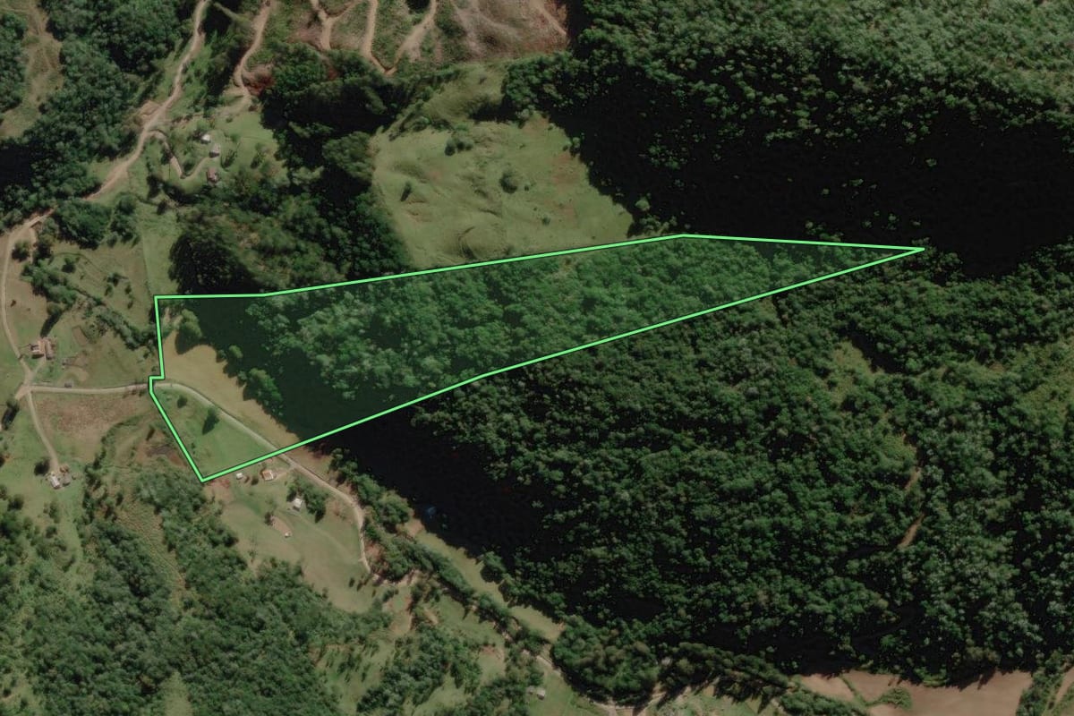 Imagem de satélite do imóvel rural em Rio Rufino (SC), com o contorno declarado no CAR desenhado por cima.