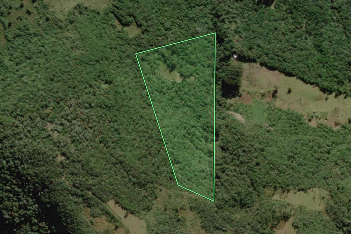 Imagem de satélite do imóvel rural em Rio Rufino (SC), com o contorno declarado no CAR desenhado por cima.