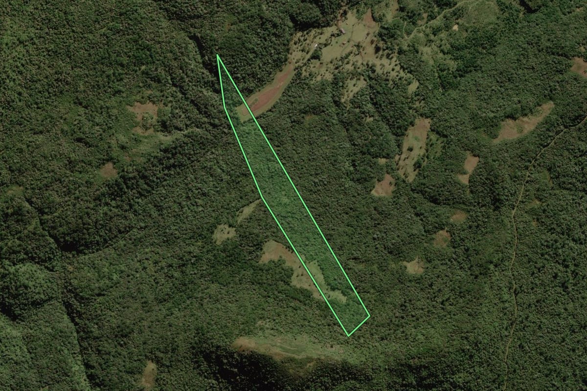 Imagem de satélite do imóvel rural em Rio Rufino (SC), com o contorno declarado no CAR desenhado por cima.