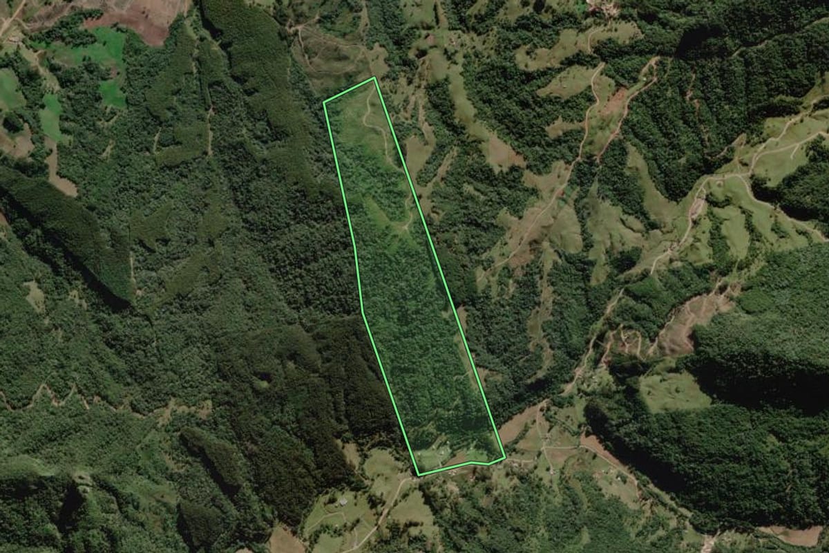 Imagem de satélite do imóvel rural em Rio Rufino (SC), com o contorno declarado no CAR desenhado por cima.