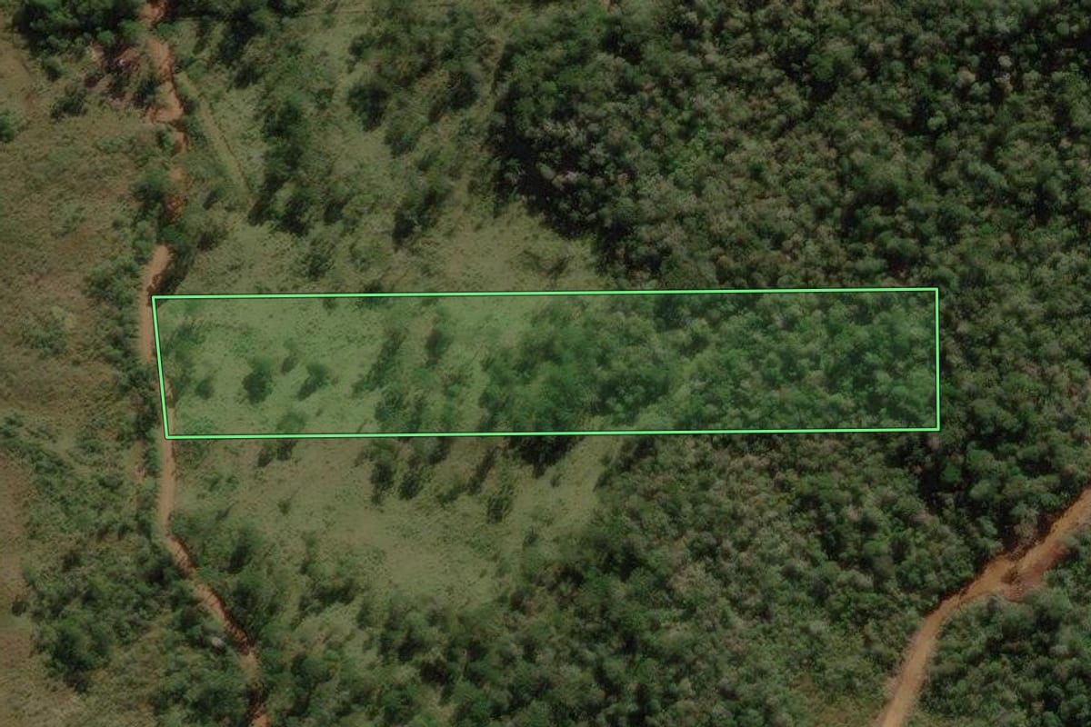 Imagem de satélite do imóvel rural em Rio Rufino (SC), com o contorno declarado no CAR desenhado por cima.