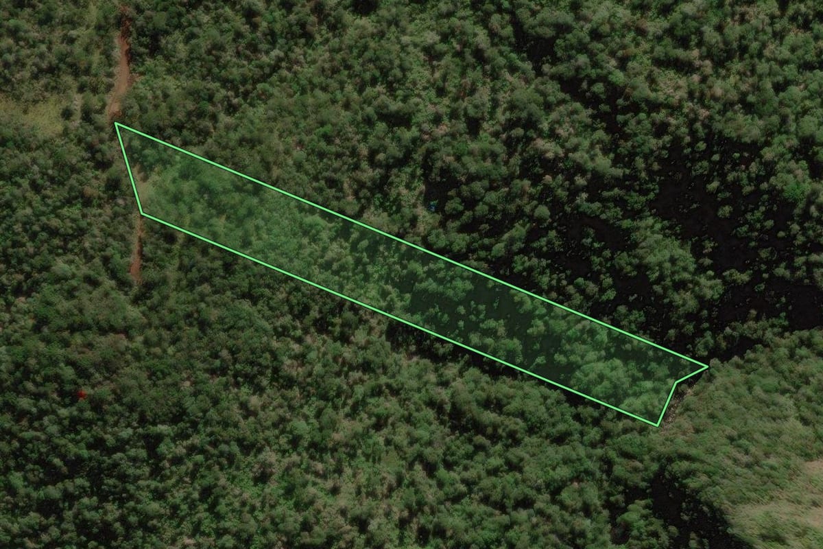 Imagem de satélite do imóvel rural em Rio Rufino (SC), com o contorno declarado no CAR desenhado por cima.