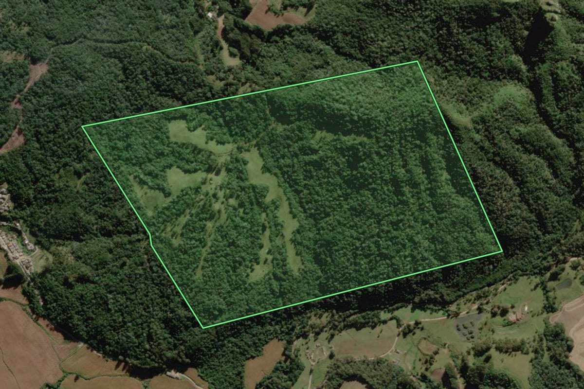 Imagem de satélite do imóvel rural em Rio Rufino (SC), com o contorno declarado no CAR desenhado por cima.