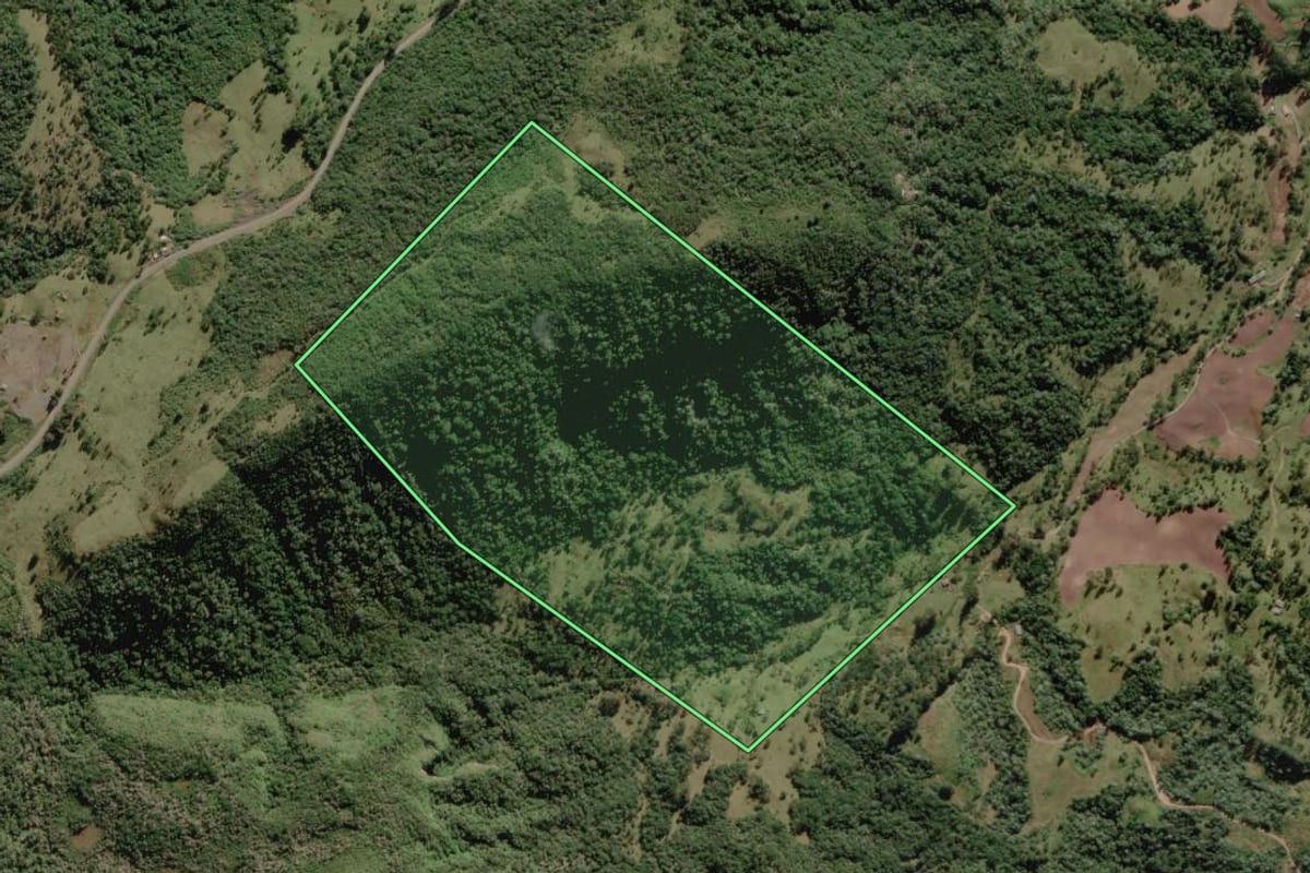 Imagem de satélite do imóvel rural em Rio Rufino (SC), com o contorno declarado no CAR desenhado por cima.