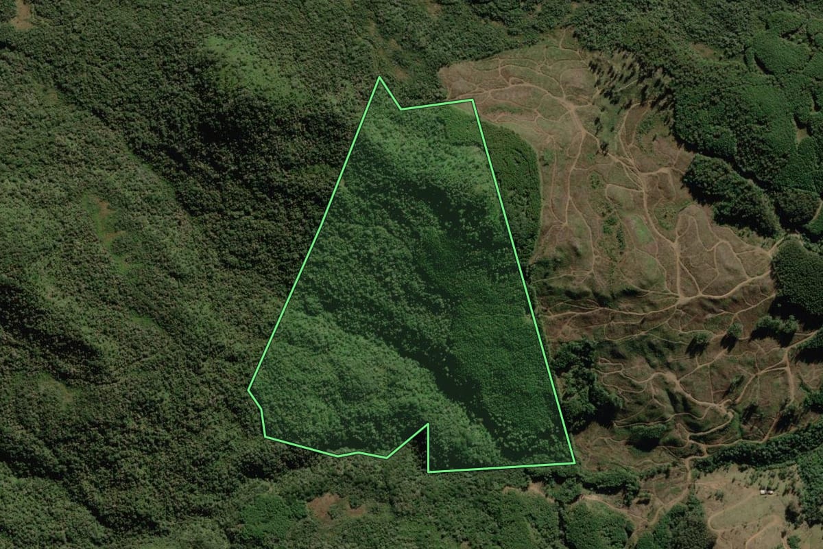 Imagem de satélite do imóvel rural em Rio Rufino (SC), com o contorno declarado no CAR desenhado por cima.