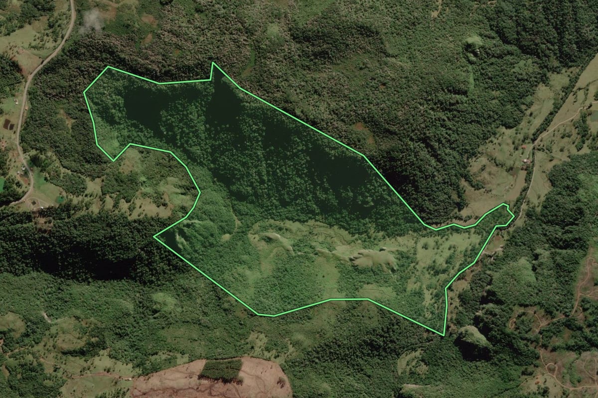 Imagem de satélite do imóvel rural em Rio Rufino (SC), com o contorno declarado no CAR desenhado por cima.