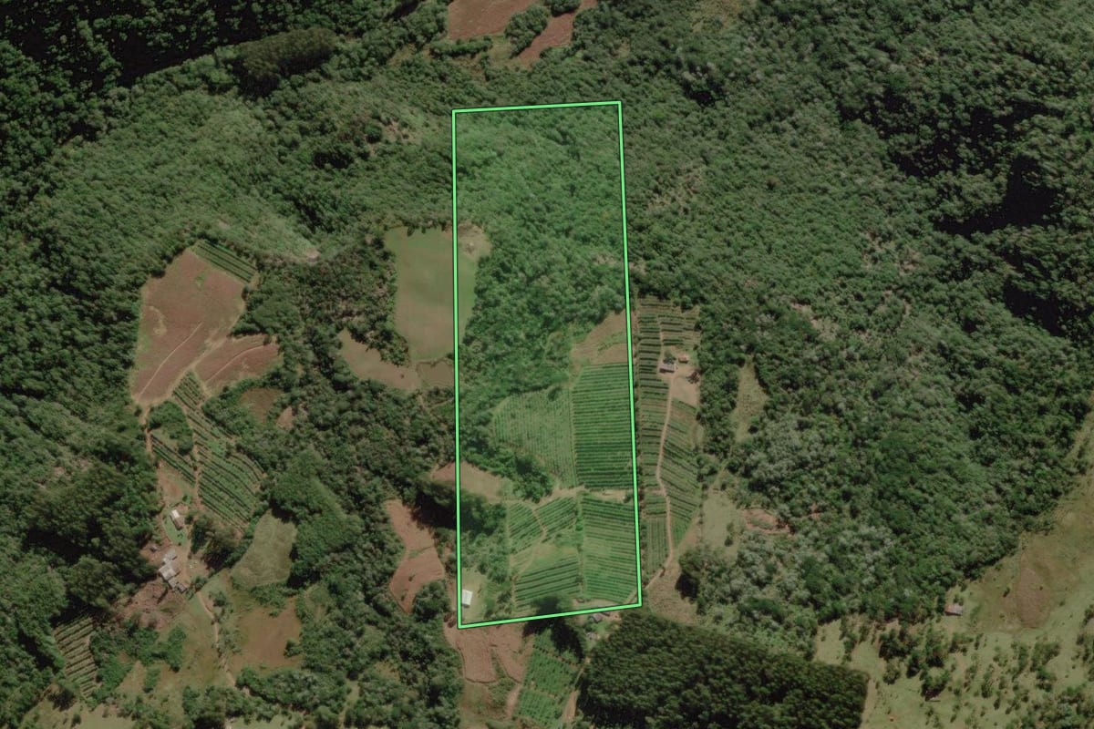 Imagem de satélite do imóvel rural em Rio Rufino (SC), com o contorno declarado no CAR desenhado por cima.