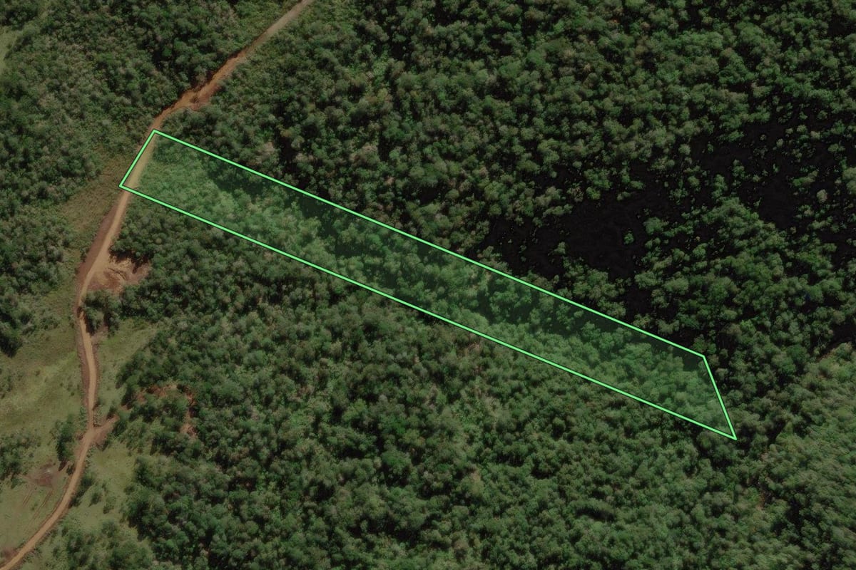 Imagem de satélite do imóvel rural em Rio Rufino (SC), com o contorno declarado no CAR desenhado por cima.