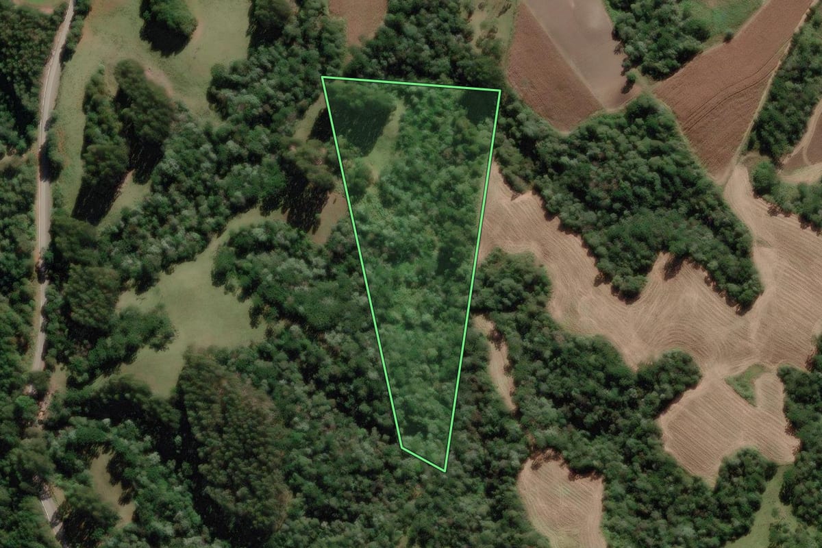 Imagem de satélite do imóvel rural em Rio Rufino (SC), com o contorno declarado no CAR desenhado por cima.