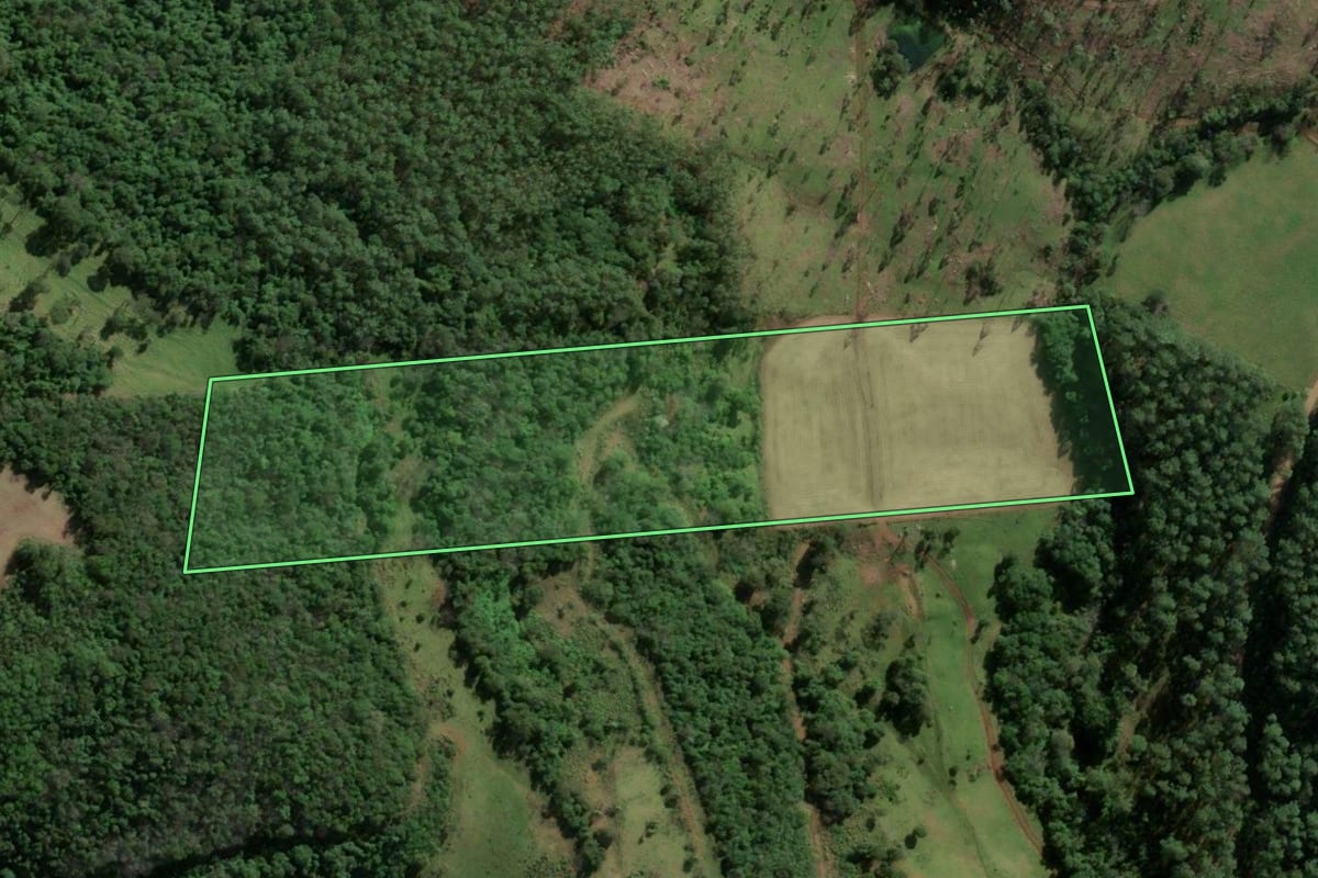 Imagem de satélite do imóvel rural em Riqueza (SC), com o contorno declarado no CAR desenhado por cima.
