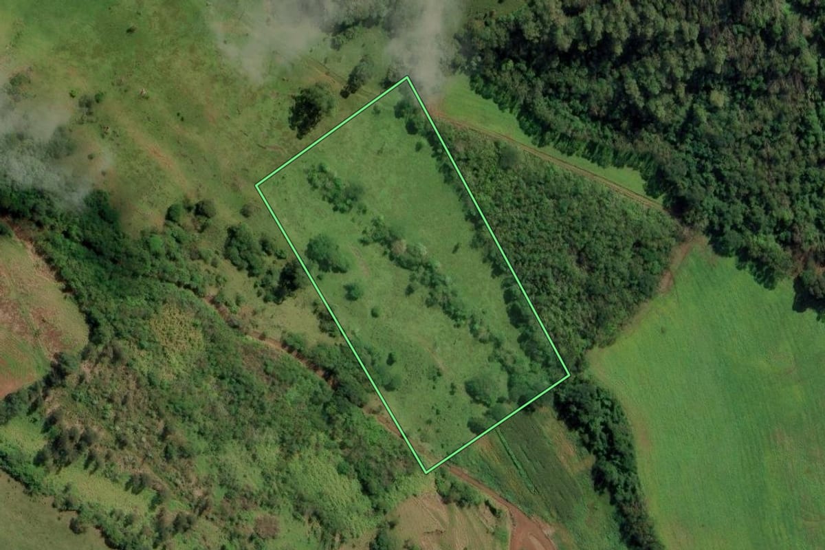 Imagem de satélite do imóvel rural em Riqueza (SC), com o contorno declarado no CAR desenhado por cima.