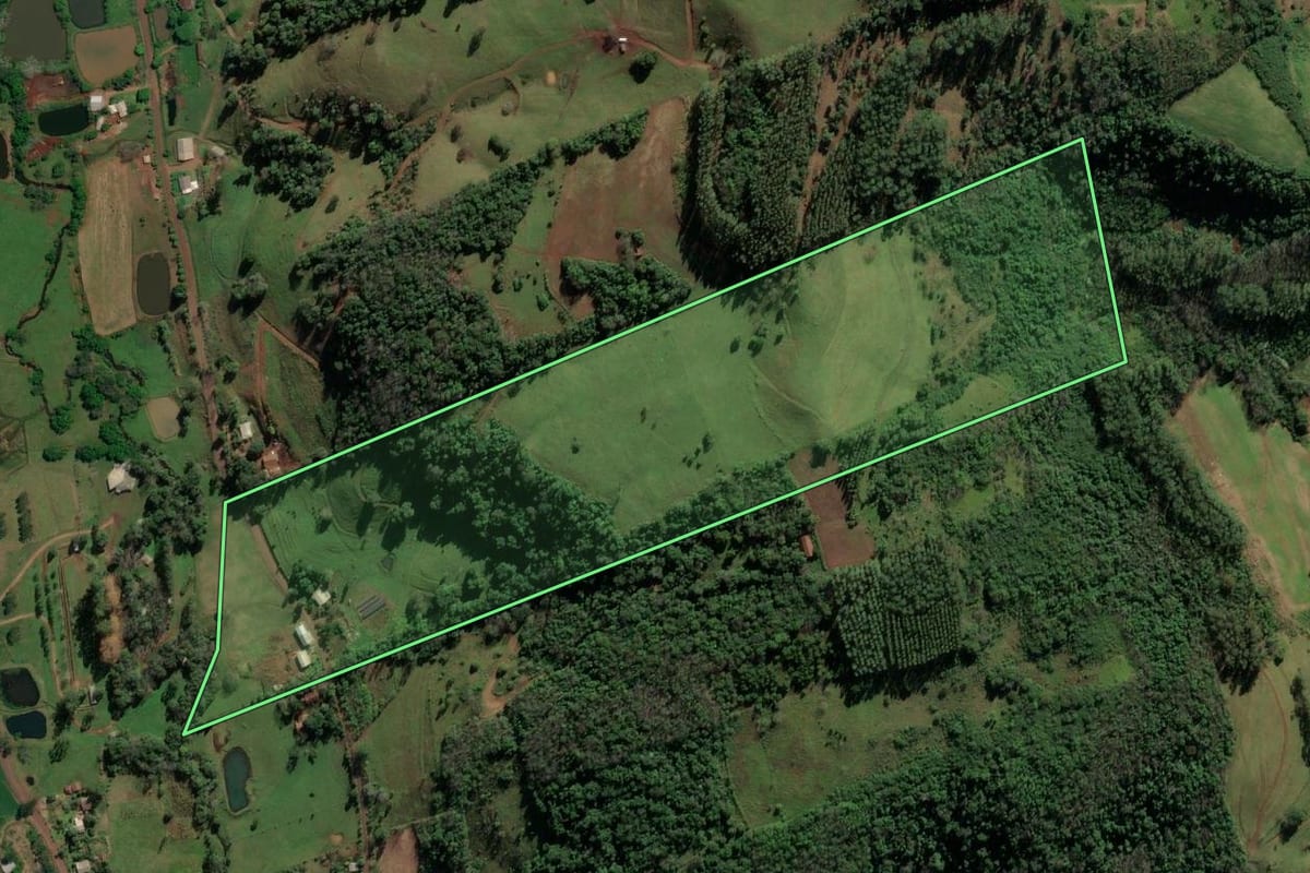 Imagem de satélite do imóvel rural em Riqueza (SC), com o contorno declarado no CAR desenhado por cima.