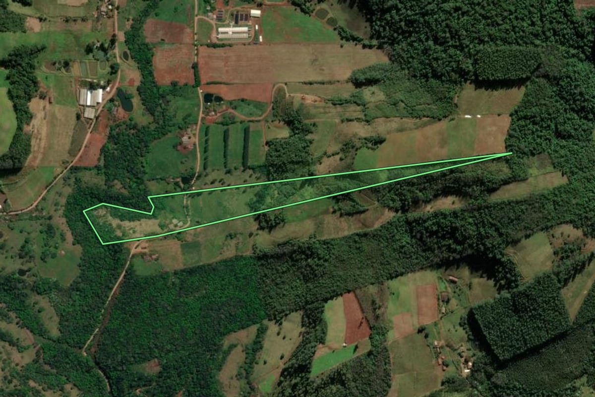Imagem de satélite do imóvel rural em Riqueza (SC), com o contorno declarado no CAR desenhado por cima.