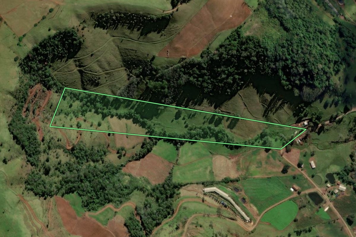 Imagem de satélite do imóvel rural em Riqueza (SC), com o contorno declarado no CAR desenhado por cima.
