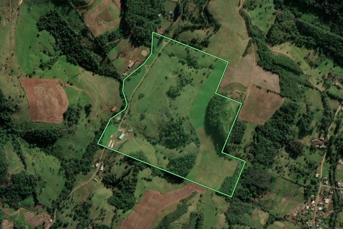 Imagem de satélite do imóvel rural em Riqueza (SC), com o contorno declarado no CAR desenhado por cima.