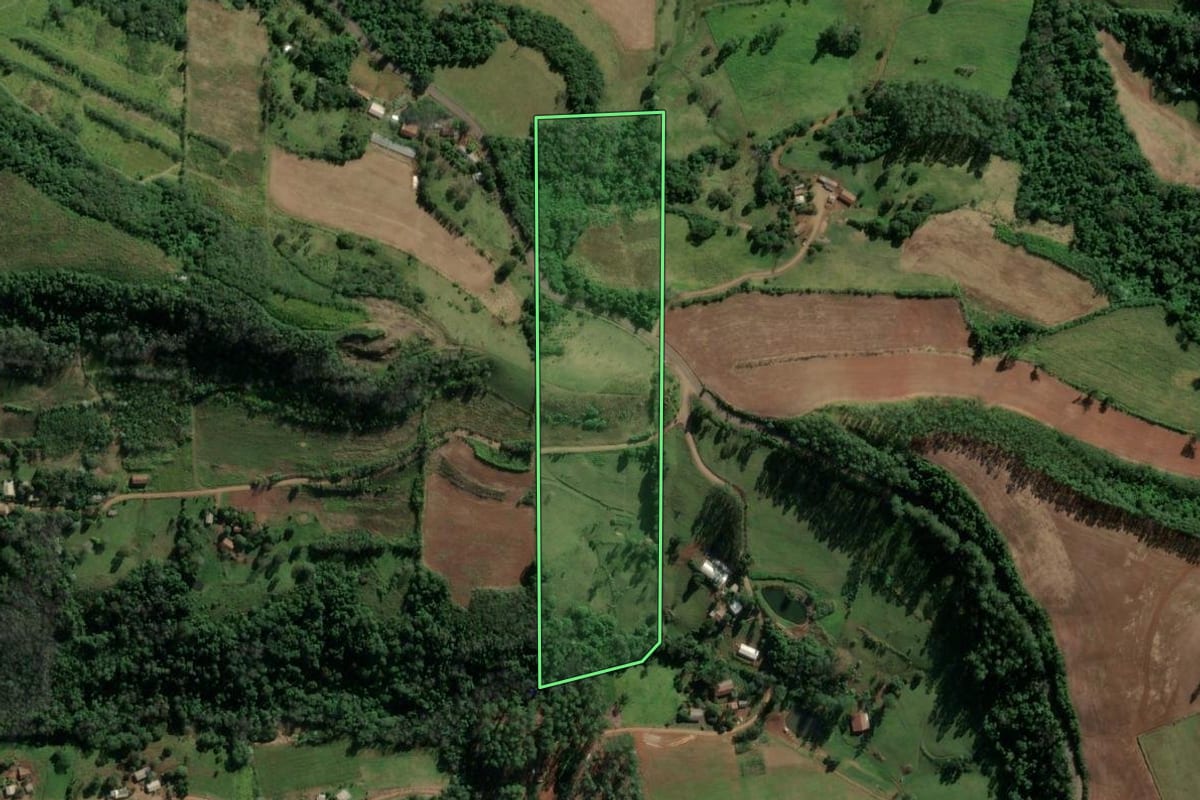 Imagem de satélite do imóvel rural em Riqueza (SC), com o contorno declarado no CAR desenhado por cima.