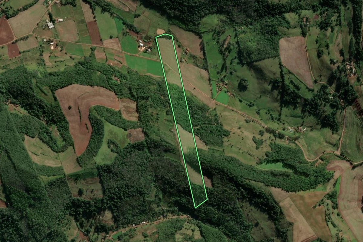 Imagem de satélite do imóvel rural em Riqueza (SC), com o contorno declarado no CAR desenhado por cima.