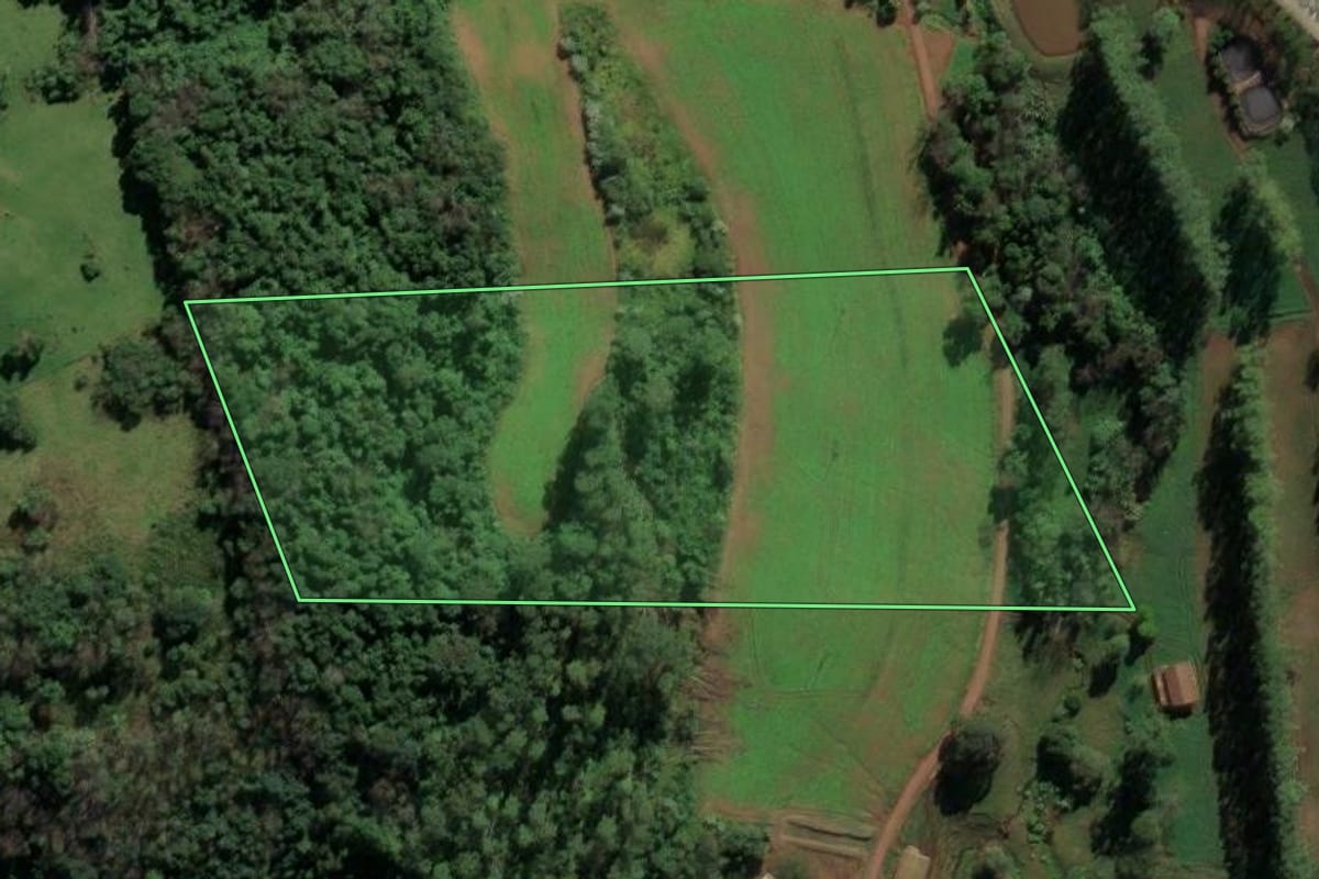 Imagem de satélite do imóvel rural em Riqueza (SC), com o contorno declarado no CAR desenhado por cima.