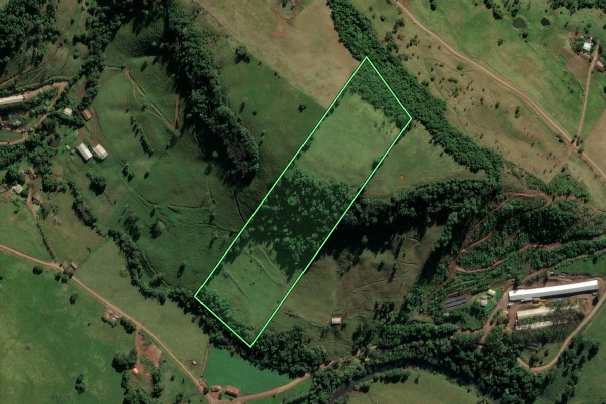 Imagem de satélite do imóvel rural em Riqueza (SC), com o contorno declarado no CAR desenhado por cima.