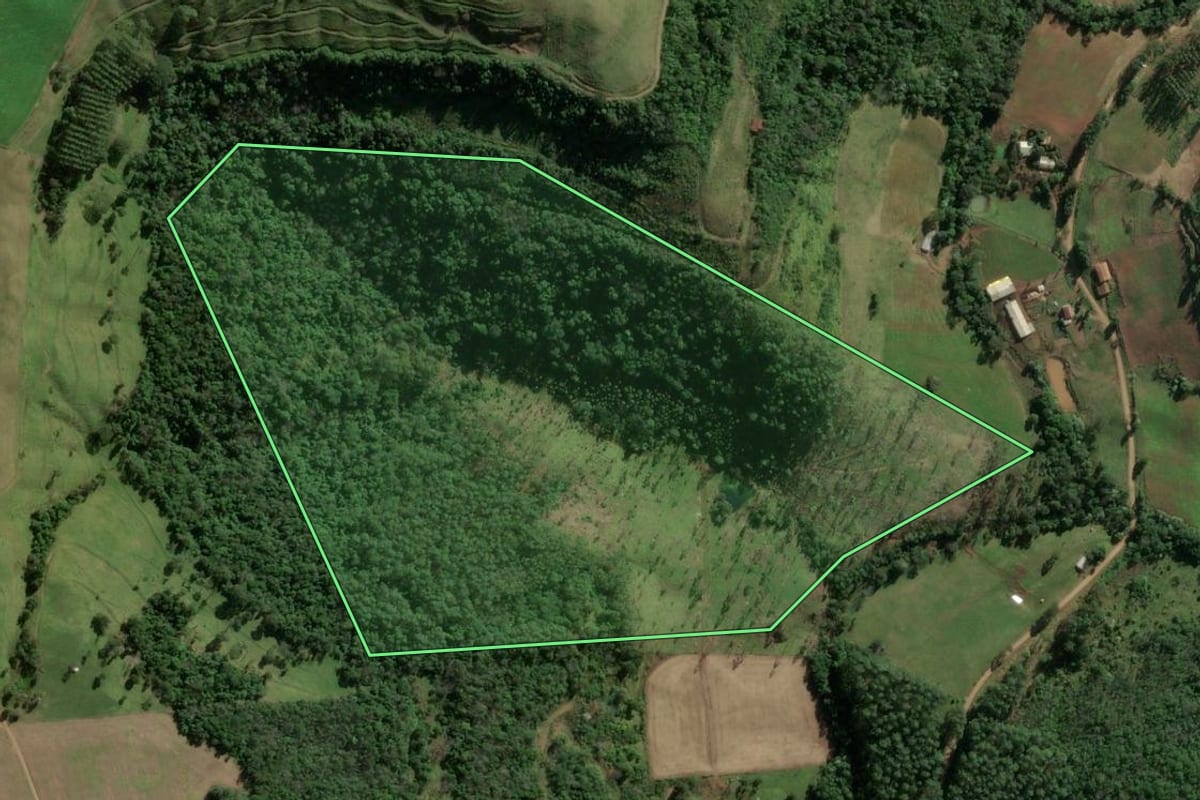 Imagem de satélite do imóvel rural em Riqueza (SC), com o contorno declarado no CAR desenhado por cima.