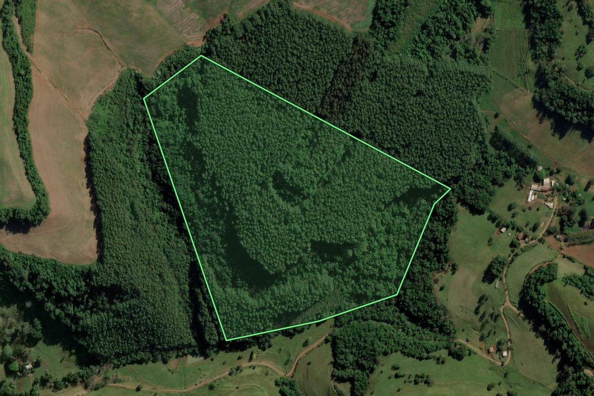 Imagem de satélite do imóvel rural em Riqueza (SC), com o contorno declarado no CAR desenhado por cima.