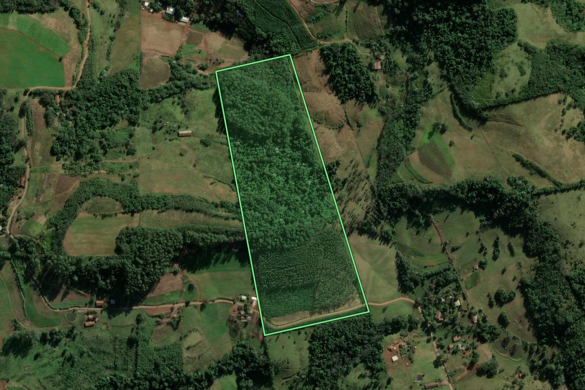 Imagem de satélite do imóvel rural em Riqueza (SC), com o contorno declarado no CAR desenhado por cima.