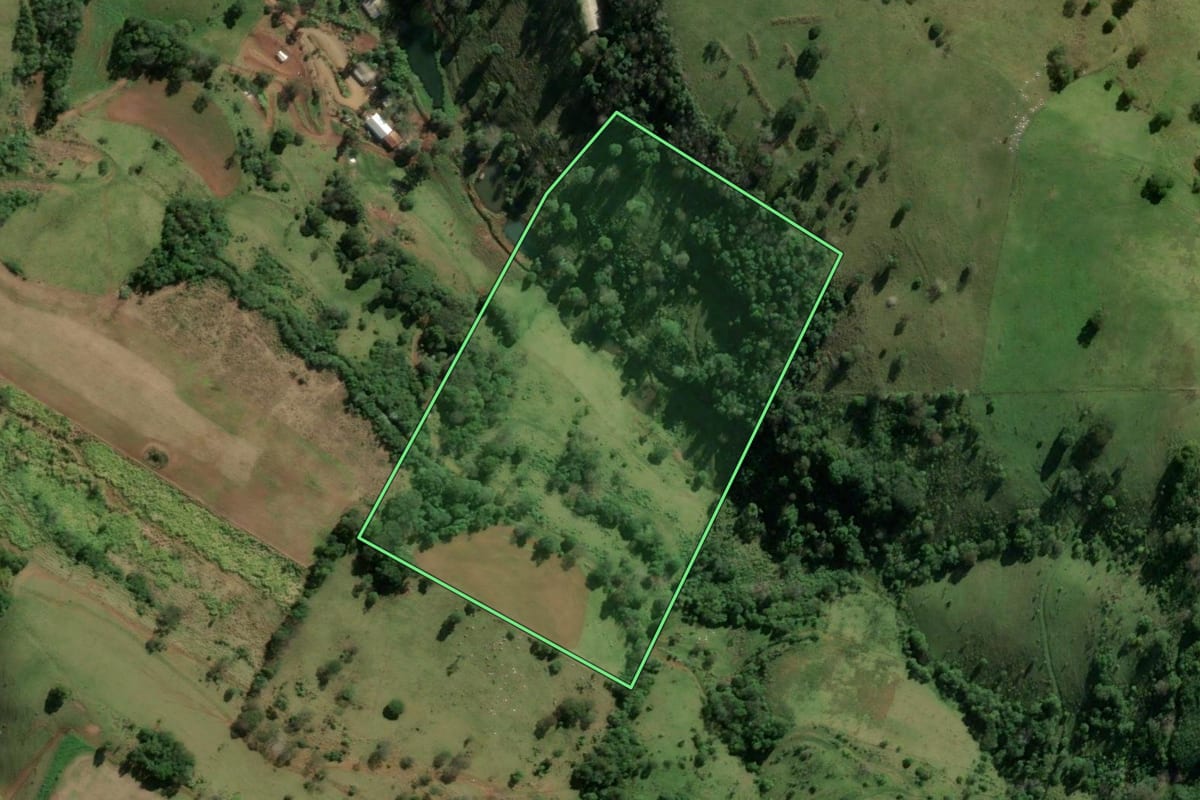 Imagem de satélite do imóvel rural em Riqueza (SC), com o contorno declarado no CAR desenhado por cima.