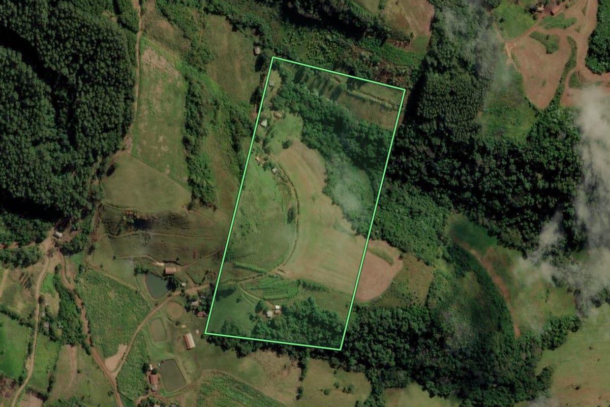 Imagem de satélite do imóvel rural em Riqueza (SC), com o contorno declarado no CAR desenhado por cima.