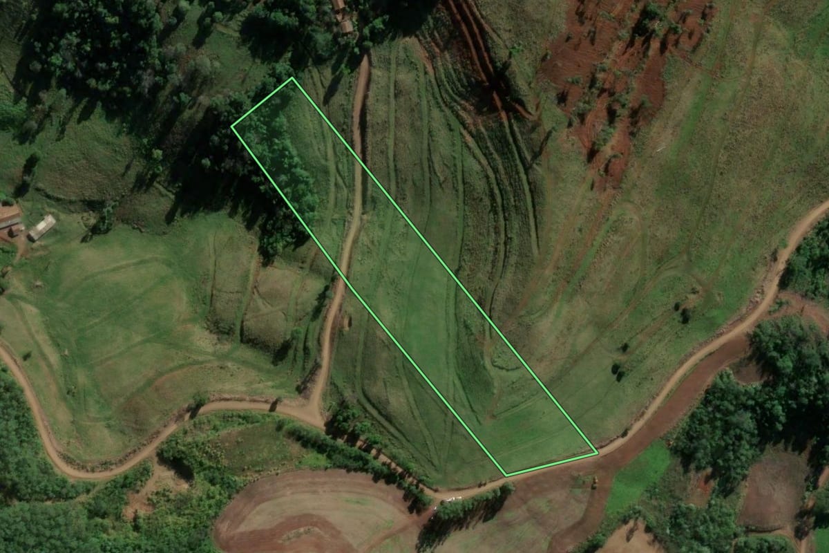 Imagem de satélite do imóvel rural em Riqueza (SC), com o contorno declarado no CAR desenhado por cima.