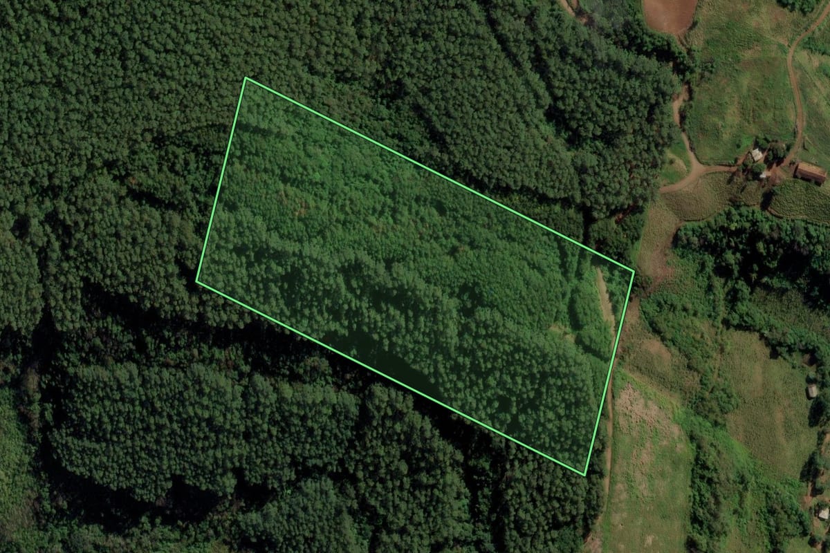 Imagem de satélite do imóvel rural em Riqueza (SC), com o contorno declarado no CAR desenhado por cima.