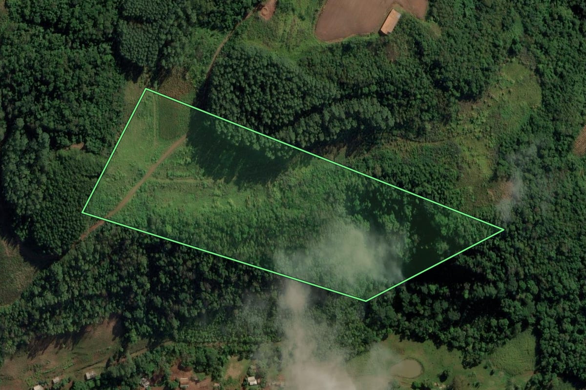 Imagem de satélite do imóvel rural em Riqueza (SC), com o contorno declarado no CAR desenhado por cima.