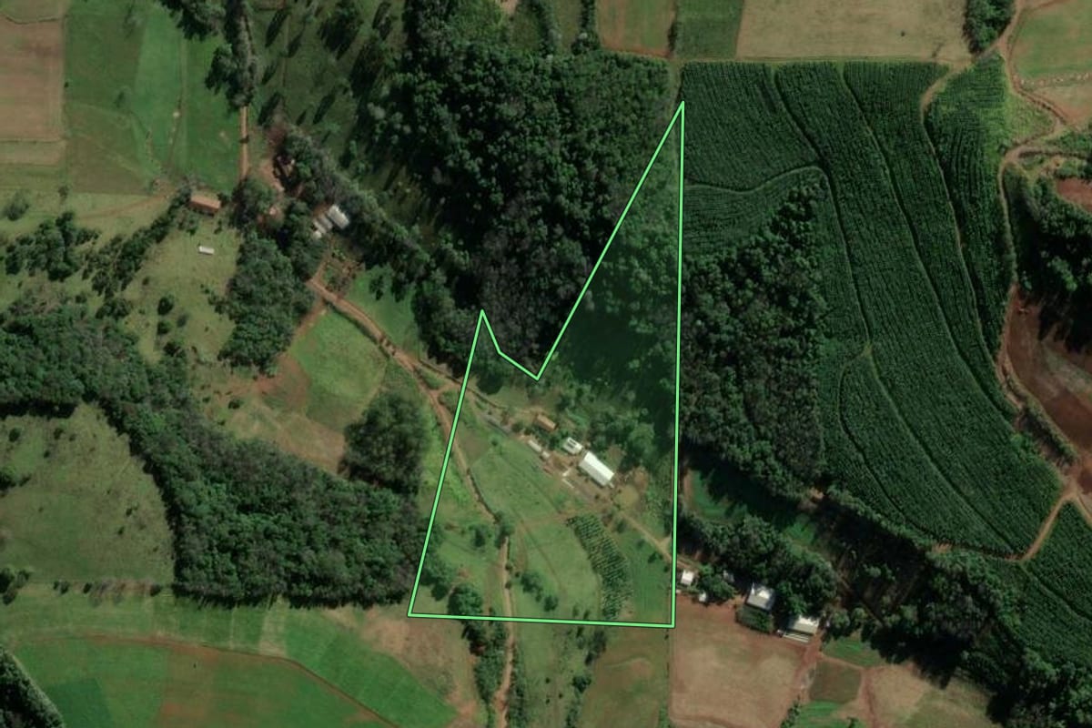 Imagem de satélite do imóvel rural em Riqueza (SC), com o contorno declarado no CAR desenhado por cima.