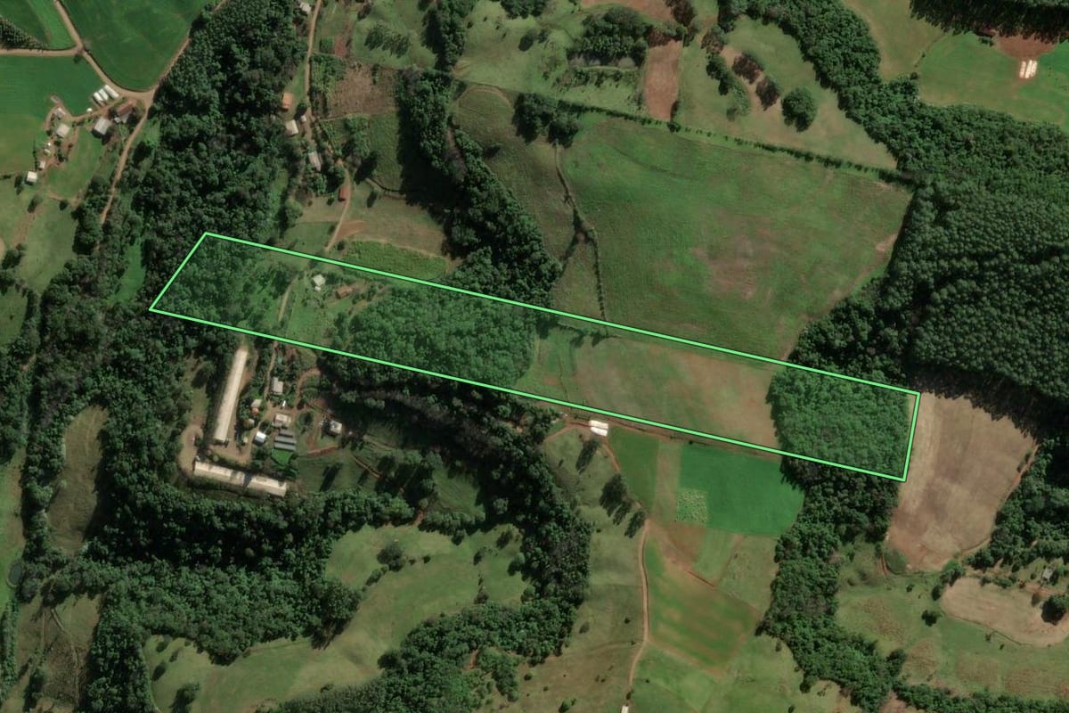 Imagem de satélite do imóvel rural em Riqueza (SC), com o contorno declarado no CAR desenhado por cima.