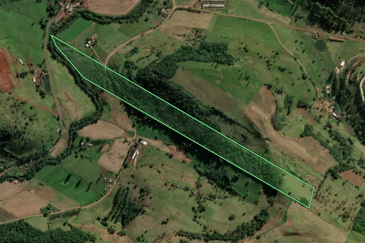 Imagem de satélite do imóvel rural em Riqueza (SC), com o contorno declarado no CAR desenhado por cima.