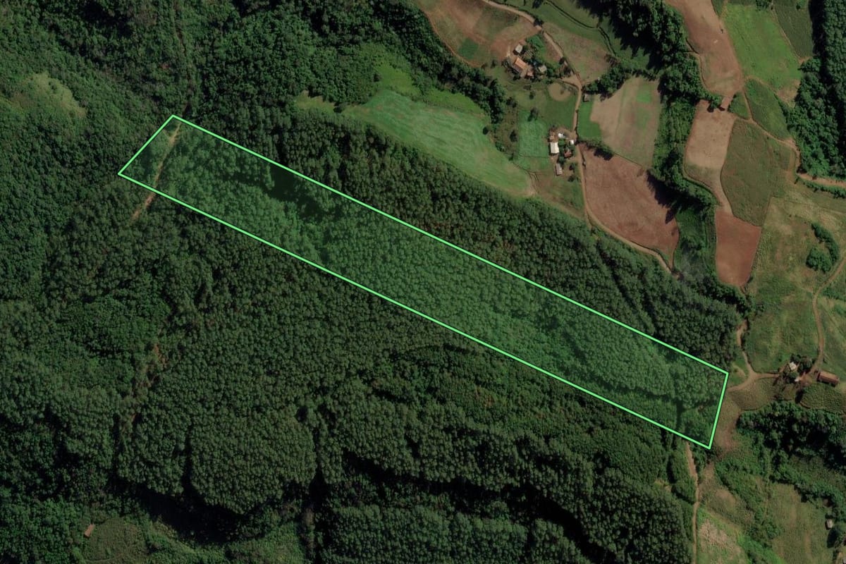 Imagem de satélite do imóvel rural em Riqueza (SC), com o contorno declarado no CAR desenhado por cima.