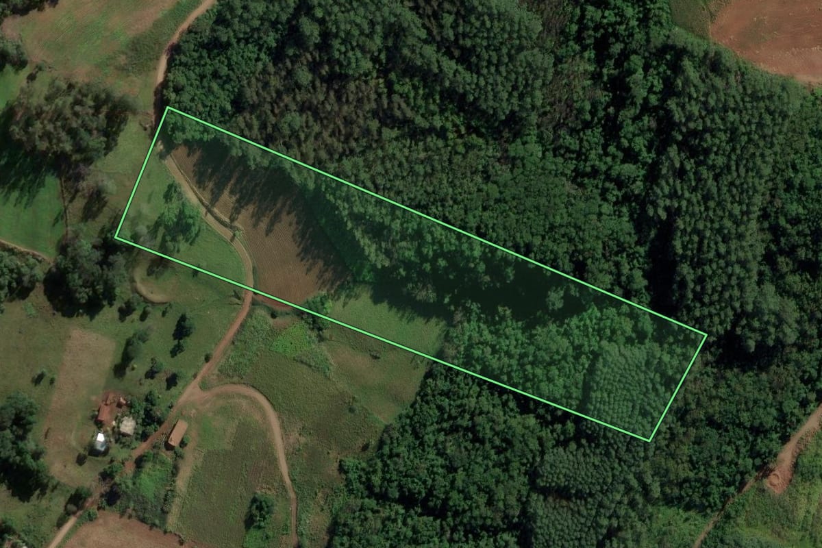 Imagem de satélite do imóvel rural em Riqueza (SC), com o contorno declarado no CAR desenhado por cima.