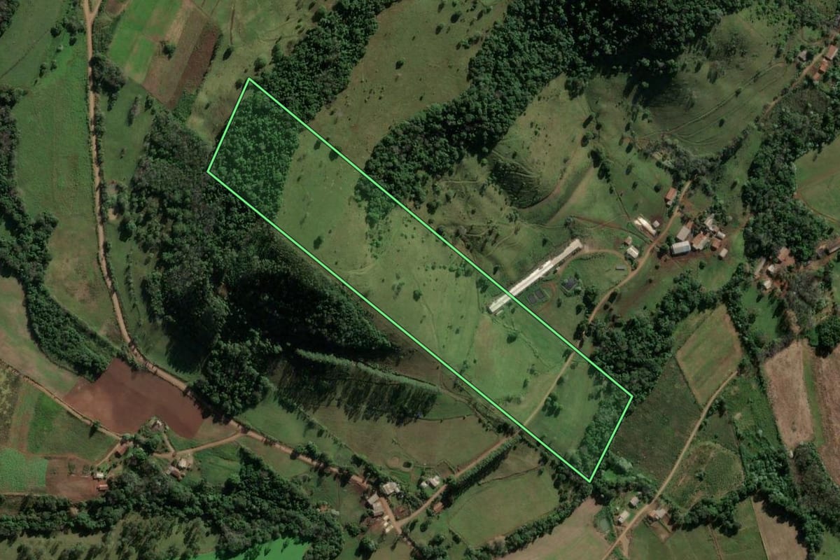 Imagem de satélite do imóvel rural em Riqueza (SC), com o contorno declarado no CAR desenhado por cima.