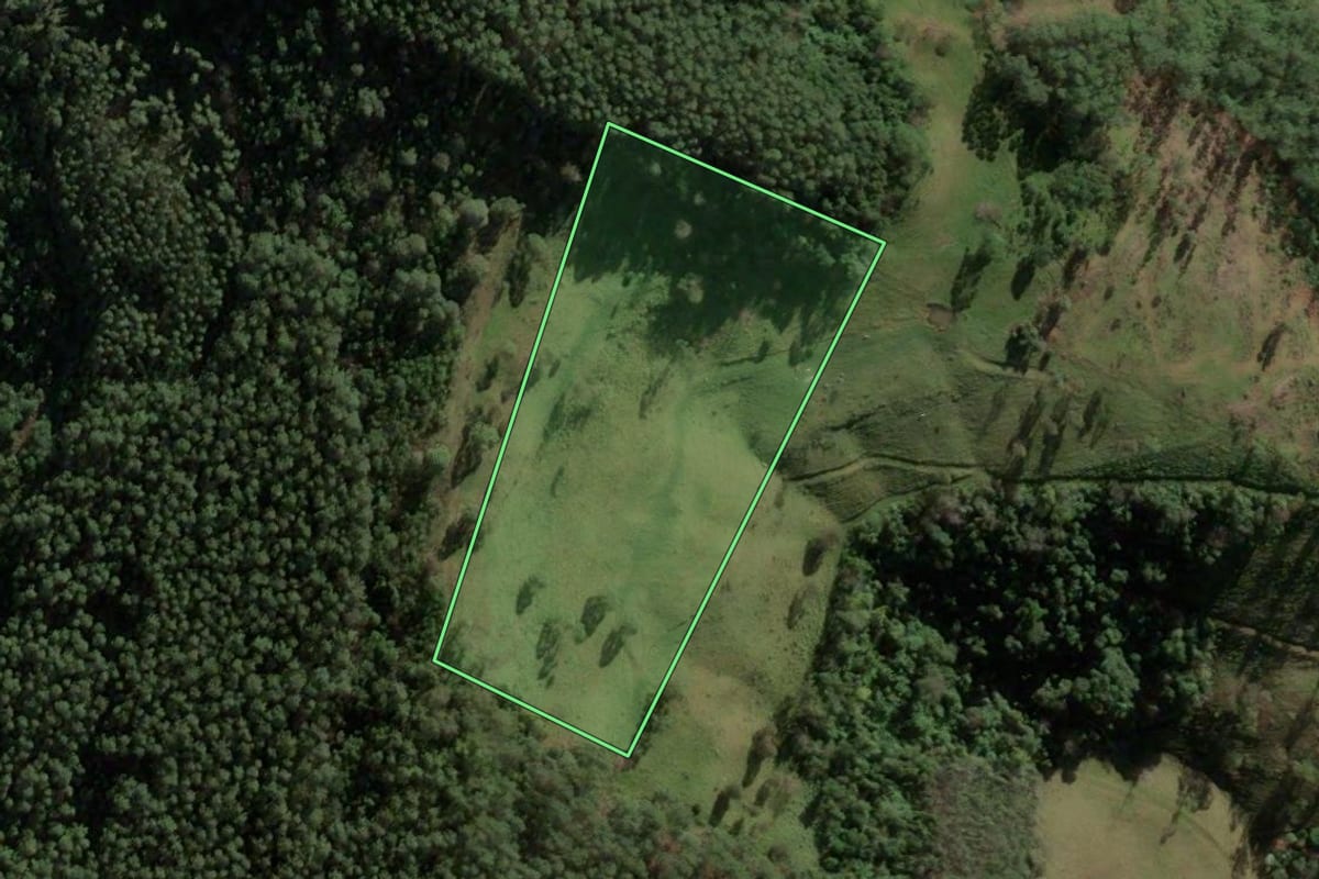 Imagem de satélite do imóvel rural em Riqueza (SC), com o contorno declarado no CAR desenhado por cima.