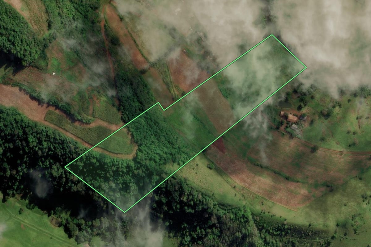 Imagem de satélite do imóvel rural em Riqueza (SC), com o contorno declarado no CAR desenhado por cima.