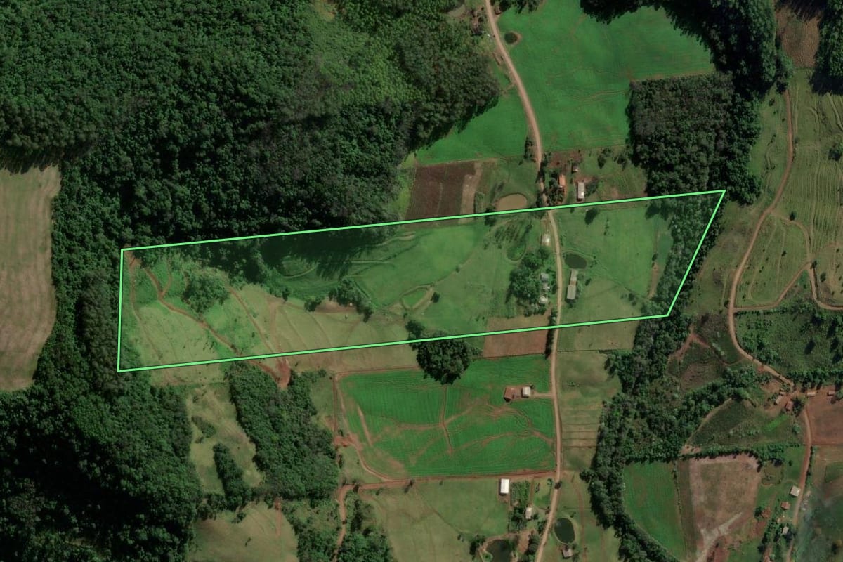 Imagem de satélite do imóvel rural em Riqueza (SC), com o contorno declarado no CAR desenhado por cima.