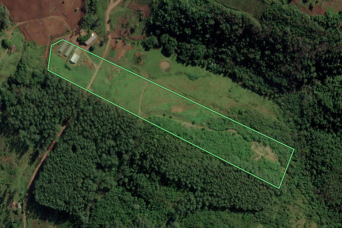 Imagem de satélite do imóvel rural em Riqueza (SC), com o contorno declarado no CAR desenhado por cima.