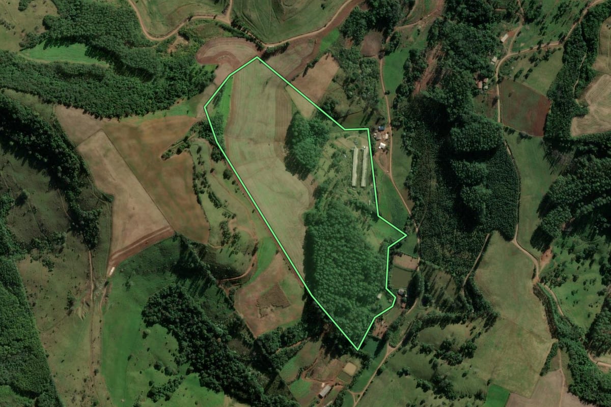 Imagem de satélite do imóvel rural em Riqueza (SC), com o contorno declarado no CAR desenhado por cima.
