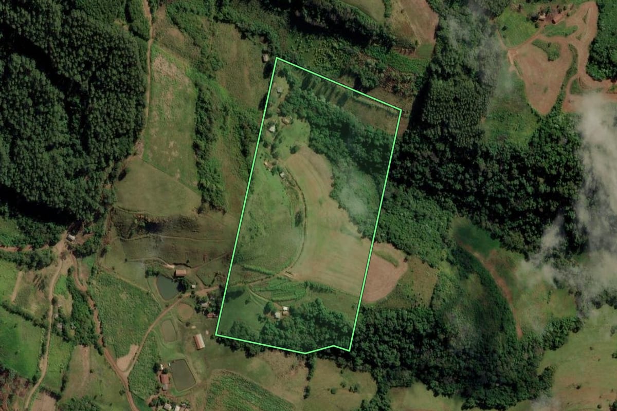 Imagem de satélite do imóvel rural em Riqueza (SC), com o contorno declarado no CAR desenhado por cima.
