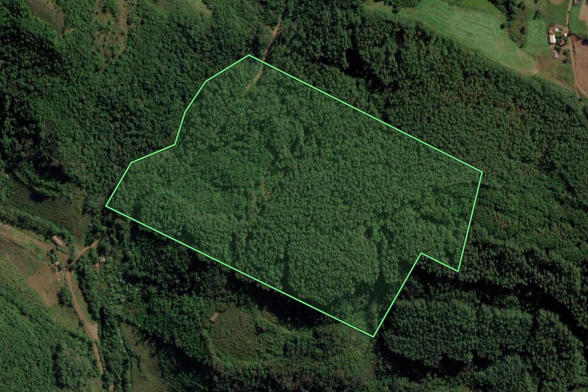Imagem de satélite do imóvel rural em Riqueza (SC), com o contorno declarado no CAR desenhado por cima.