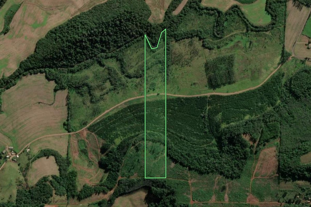 Imagem de satélite do imóvel rural em Riqueza (SC), com o contorno declarado no CAR desenhado por cima.